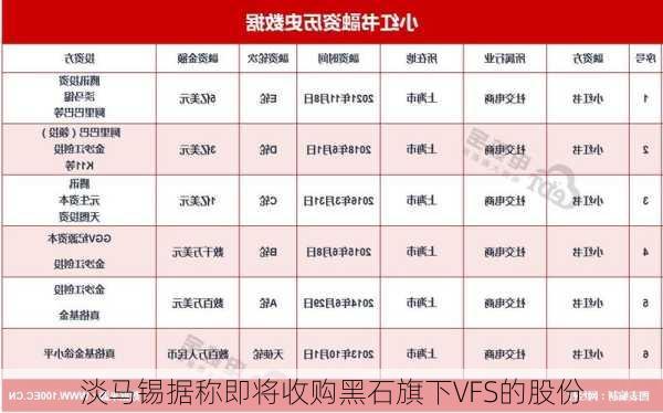 淡马锡据称即将收购黑石旗下VFS的股份