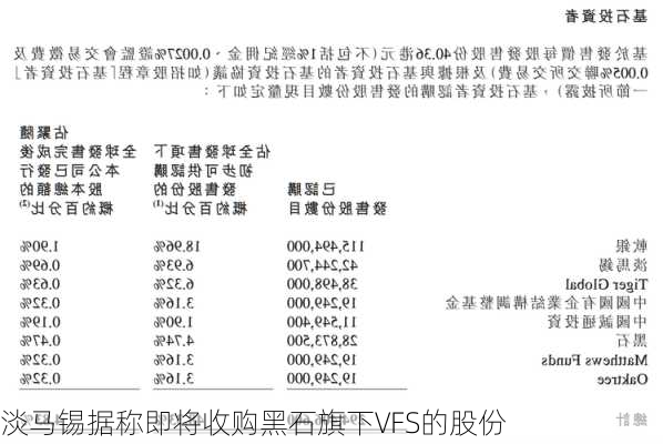 淡马锡据称即将收购黑石旗下VFS的股份