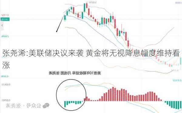 张尧浠:美联储决议来袭 黄金将无视降息幅度维持看涨