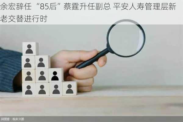 余宏辞任 “85后”蔡霆升任副总 平安人寿管理层新老交替进行时