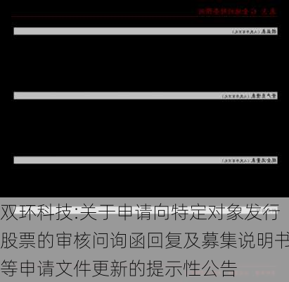 双环科技:关于申请向特定对象发行股票的审核问询函回复及募集说明书等申请文件更新的提示性公告