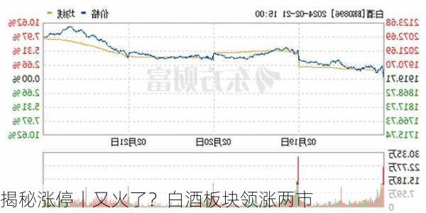 揭秘涨停丨又火了？白酒板块领涨两市