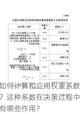 如何计算和应用权重系数？这种系数在决策过程中有哪些作用？