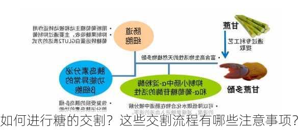 如何进行糖的交割？这些交割流程有哪些注意事项？