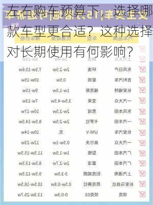 左右购车预算下，选择哪款车型更合适？这种选择对长期使用有何影响？