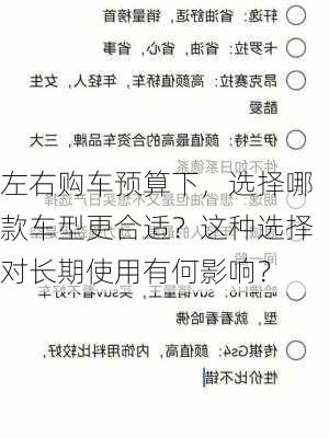 左右购车预算下，选择哪款车型更合适？这种选择对长期使用有何影响？