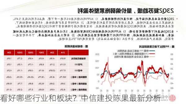 看好哪些行业和板块？中信建投陈果最新分析