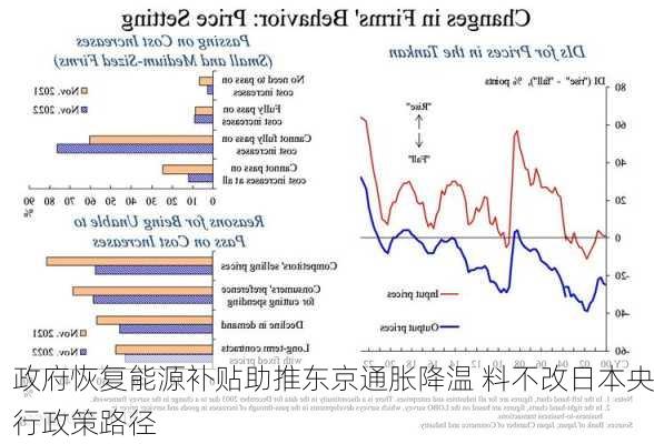 政府恢复能源补贴助推东京通胀降温 料不改日本央行政策路径