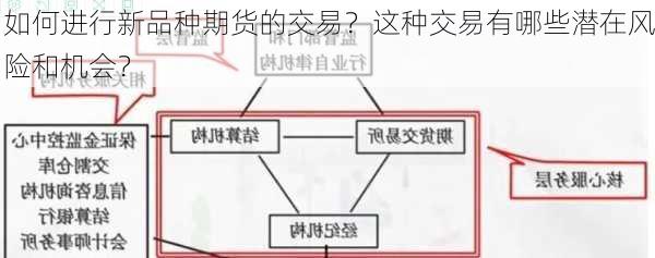 如何进行新品种期货的交易？这种交易有哪些潜在风险和机会？