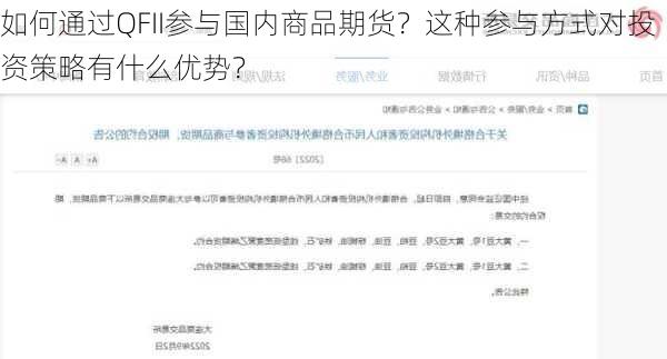 如何通过QFII参与国内商品期货？这种参与方式对投资策略有什么优势？