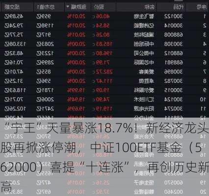 “宁王”天量暴涨18.7%！新经济龙头股再掀涨停潮，中证100ETF基金（562000）喜提“十连涨”，再创历史新高