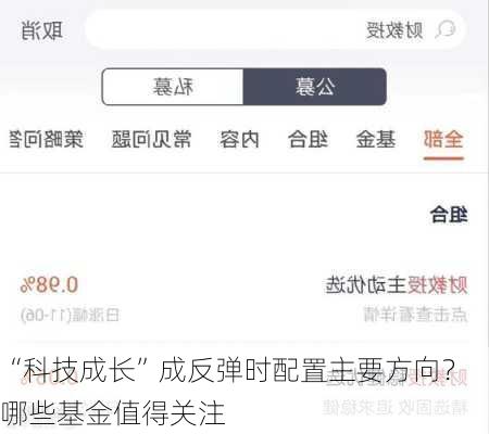 “科技成长”成反弹时配置主要方向？哪些基金值得关注