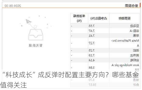 “科技成长”成反弹时配置主要方向？哪些基金值得关注