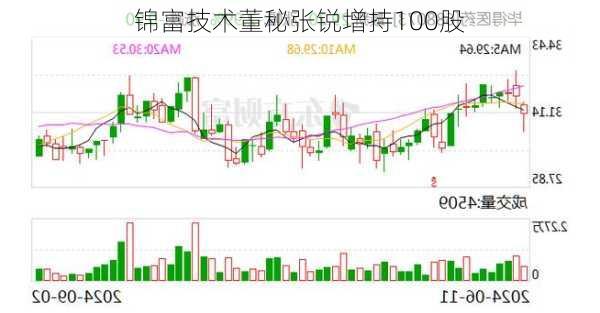 锦富技术董秘张锐增持100股