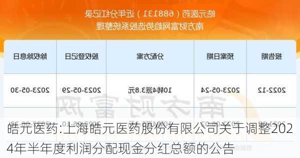 皓元医药:上海皓元医药股份有限公司关于调整2024年半年度利润分配现金分红总额的公告