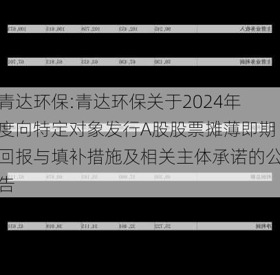 青达环保:青达环保关于2024年度向特定对象发行A股股票摊薄即期回报与填补措施及相关主体承诺的公告