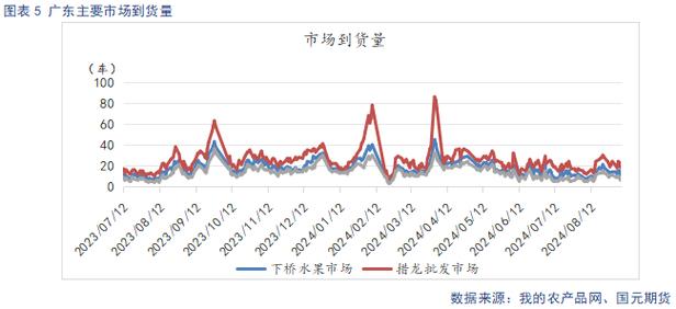 【苹果】新季晚熟逐步上量 市场交易氛围平淡