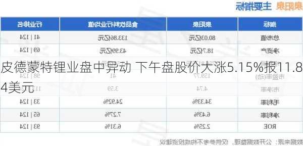 皮德蒙特锂业盘中异动 下午盘股价大涨5.15%报11.84美元