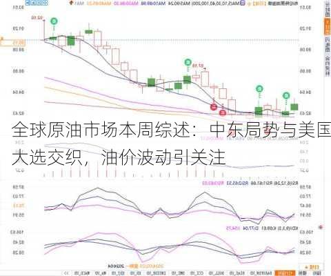 全球原油市场本周综述：中东局势与美国大选交织，油价波动引关注