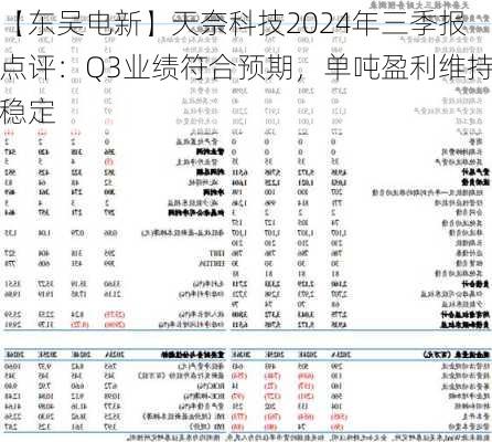 【东吴电新】天奈科技2024年三季报点评：Q3业绩符合预期，单吨盈利维持稳定