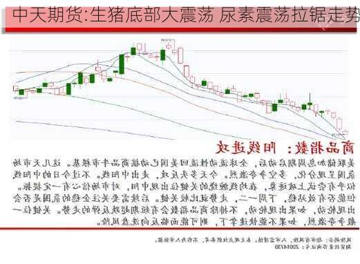 中天期货:生猪底部大震荡 尿素震荡拉锯走势
