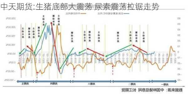 中天期货:生猪底部大震荡 尿素震荡拉锯走势