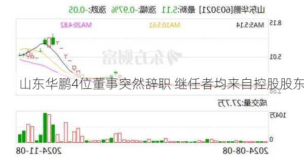 山东华鹏4位董事突然辞职 继任者均来自控股股东