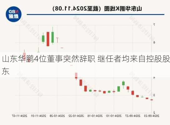 山东华鹏4位董事突然辞职 继任者均来自控股股东