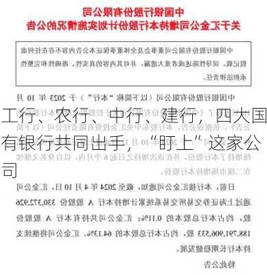 工行、农行、中行、建行，四大国有银行共同出手，“盯上”这家公司