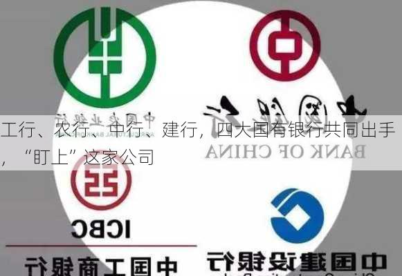 工行、农行、中行、建行，四大国有银行共同出手，“盯上”这家公司