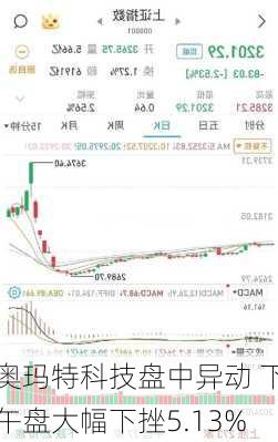 奥玛特科技盘中异动 下午盘大幅下挫5.13%