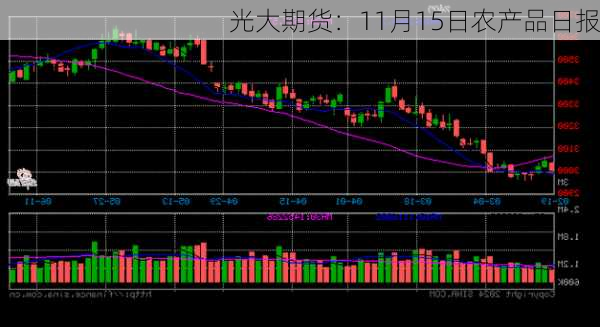 光大期货：11月15日农产品日报